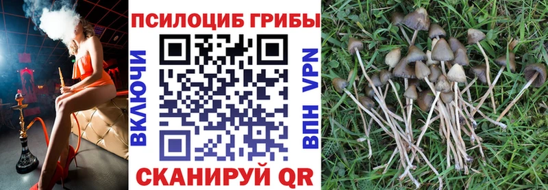 Галлюциногенные грибы GOLDEN TEACHER shop телеграм Вилючинск