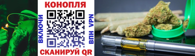 Каннабис план  omg онион  Вилючинск 